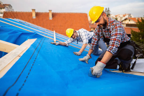 Best Roof Gutter Cleaning  in Clifton, TN