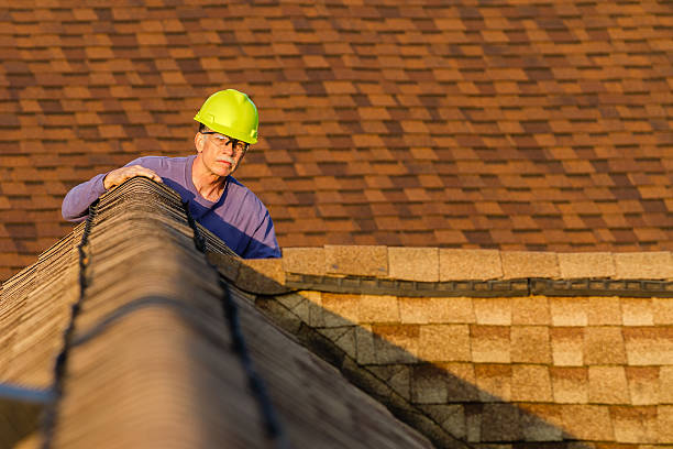 Best Roof Replacement Cost  in Clifton, TN