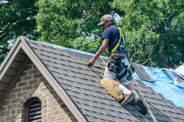 Best Storm Damage Roof Repair  in Clifton, TN